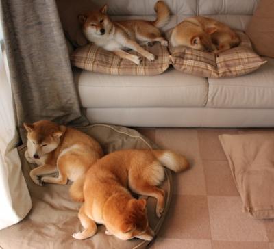 保罗独掌比赛风云,76人跨洋大胜新疆队