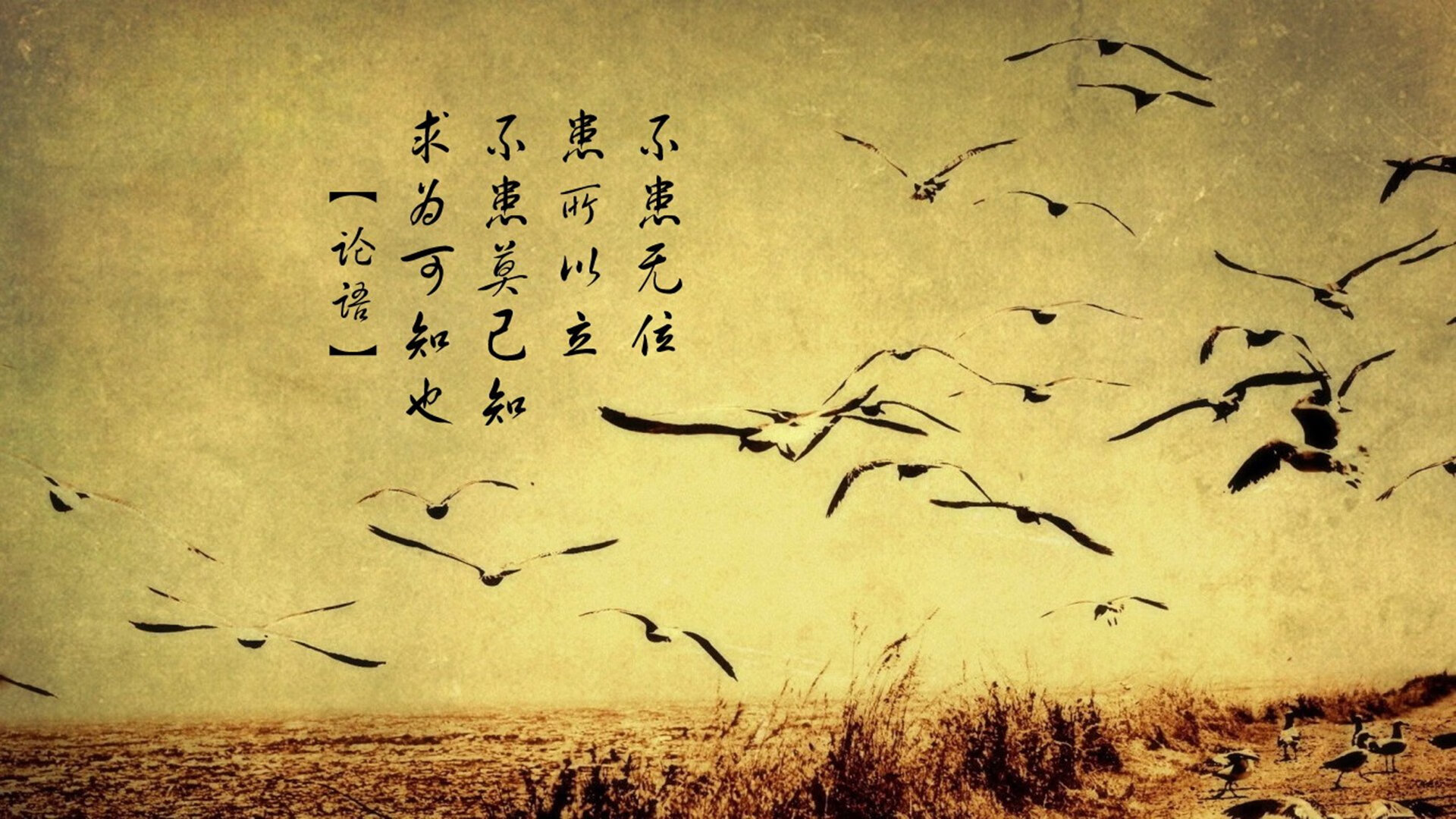 当三狮军团启动时间魔法，英格兰用慢炖哲学熬制非洲雄狮的唯一性胜利