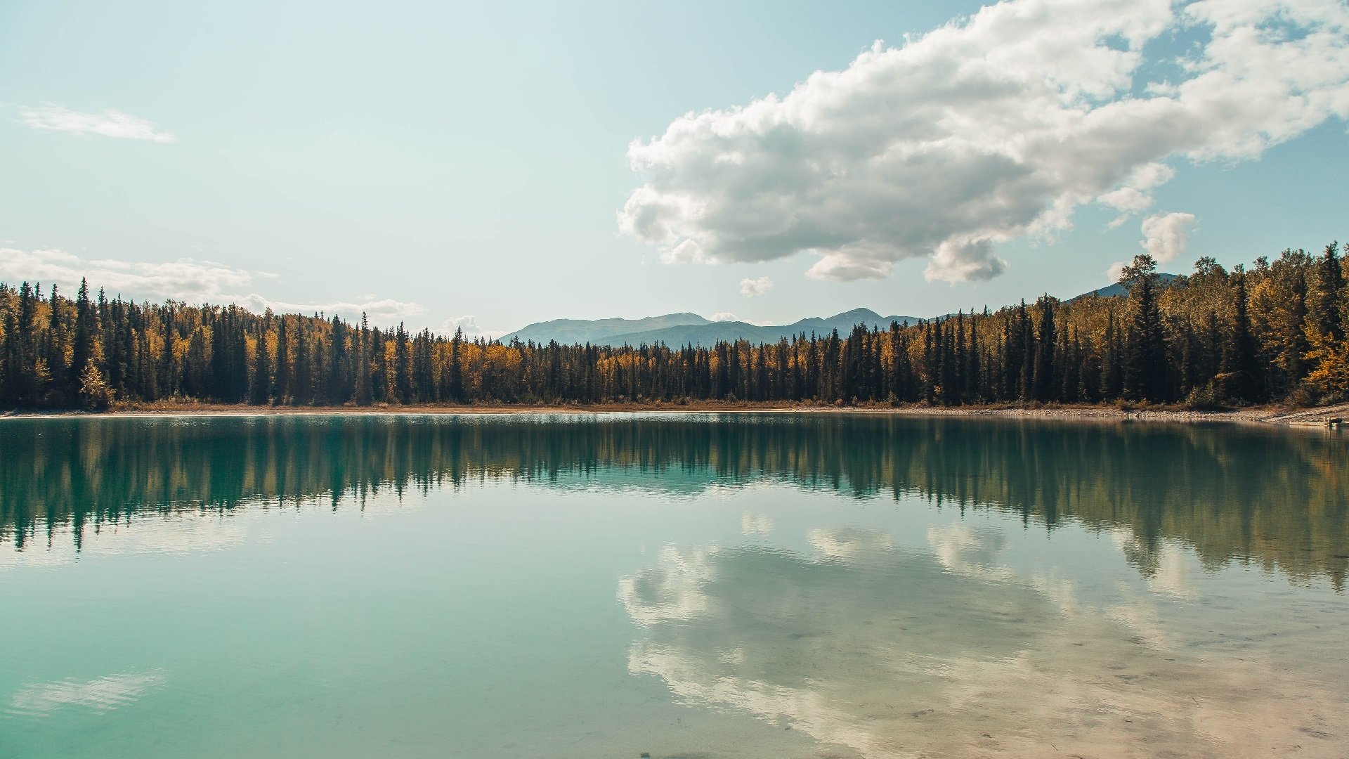波斯铁壁与北欧神话,当体系绞杀遇见个人统治的艺术