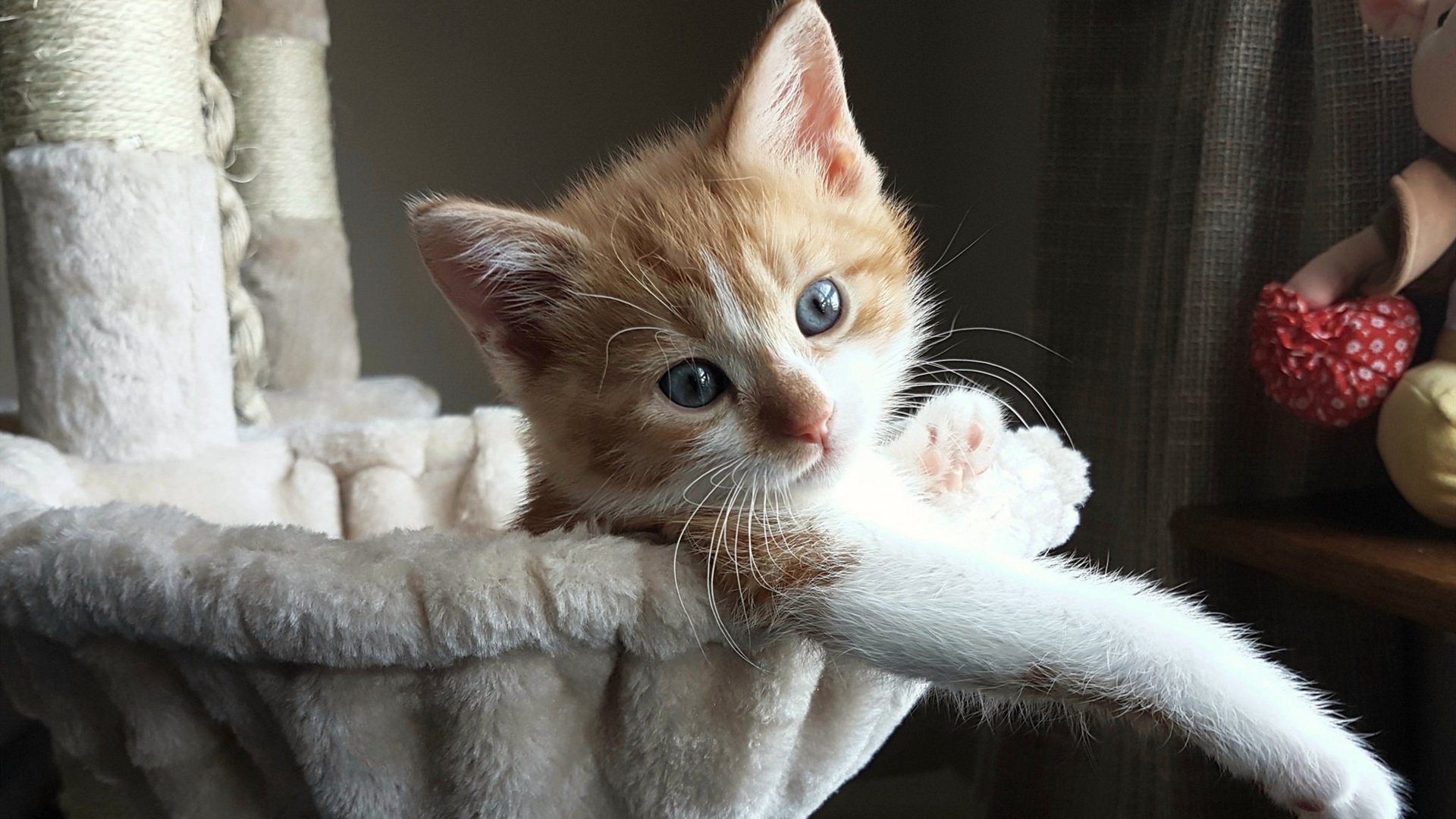 暗度陈仓，约基奇一个电话，助76人神奇逆转绿军