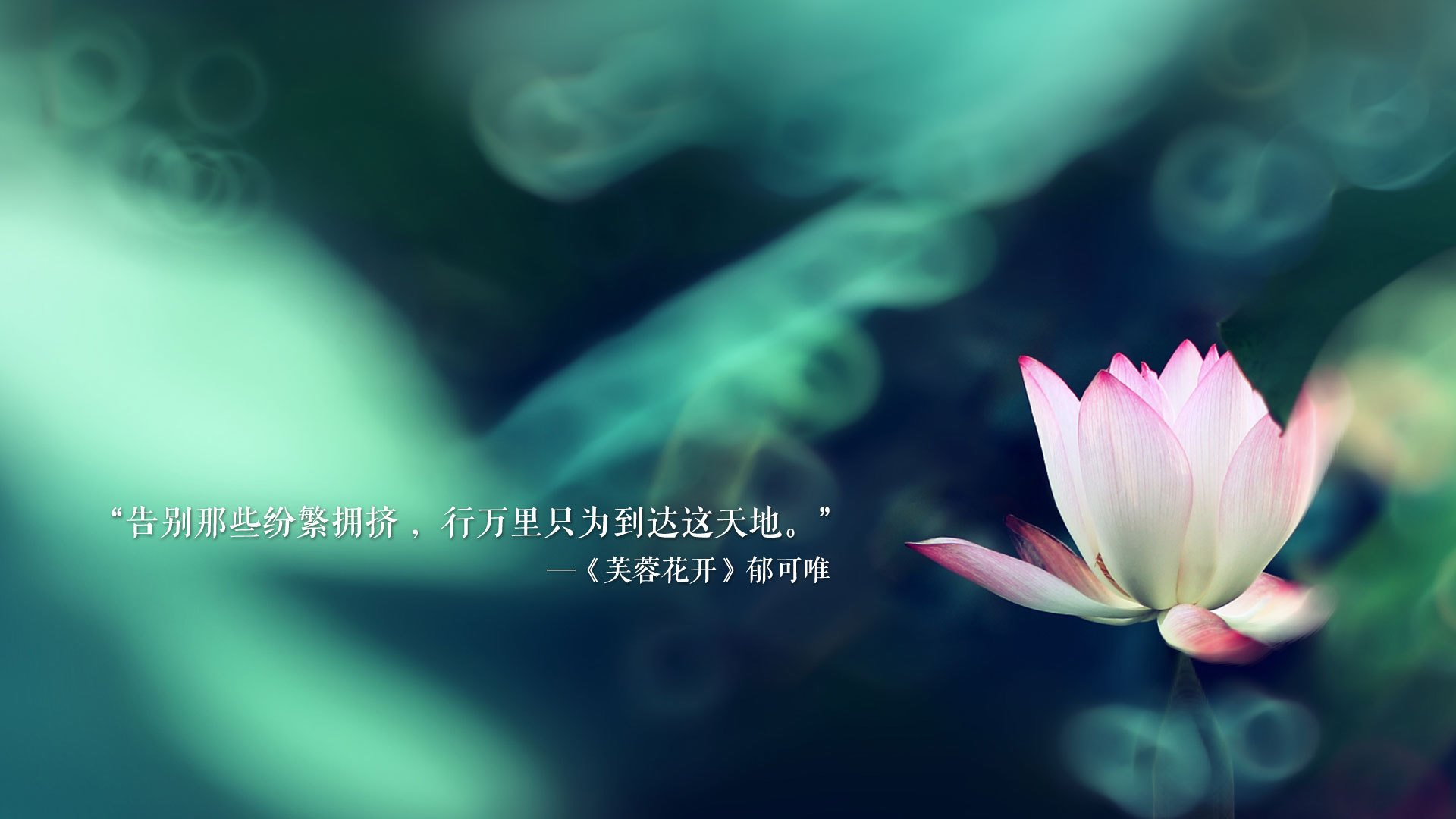 唯一的一击，当水银泻地遇上冷血一击—2026世界杯D组西班牙大胜泰国记