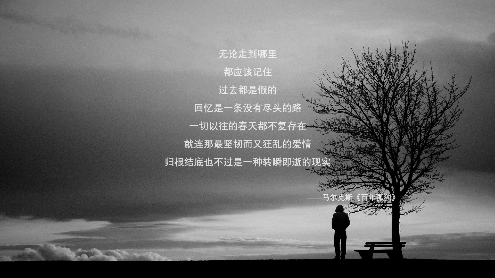 斗牛士之舞与三狮之刺,2026世界杯关键战,攻守转换下的瞬间定律